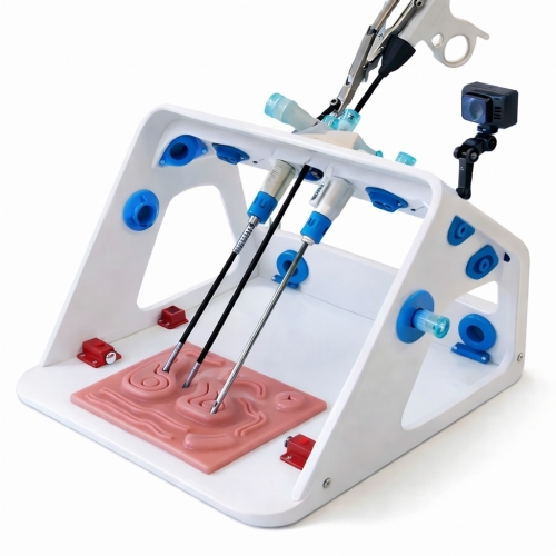 Laparoscopic Trainer Box with Instruments – Surgical Skills Training Simulator